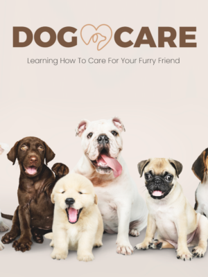 dog care